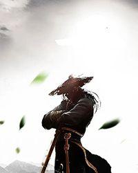 妖魔世界里的武夫是什么